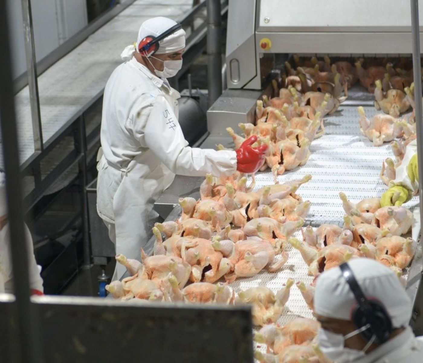 Exportaciones argentinas de carne de pollo registran crecimiento de 20%