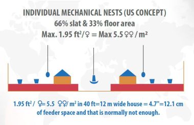 community nests