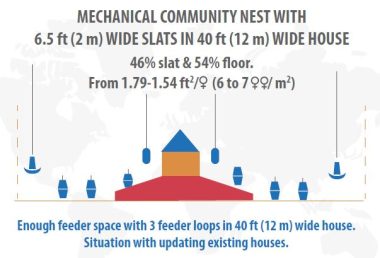 community nests