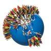 world
