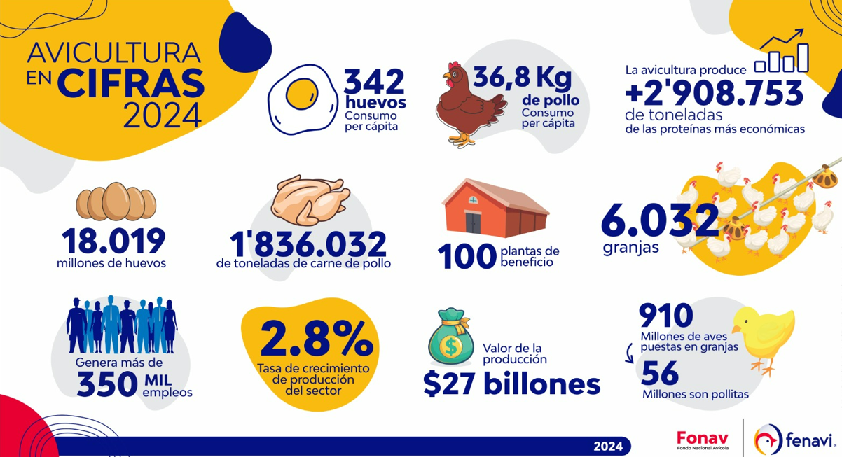 Colombia: Sector avícola registra un crecimiento de 2,8% en el 2024