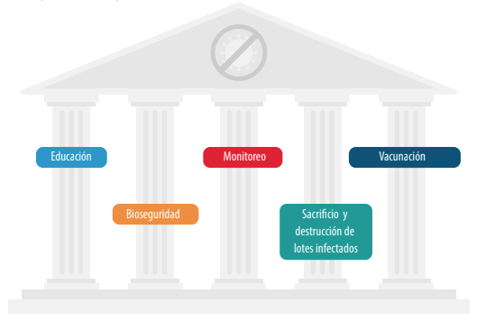 Bioseguridad en tiempos de Influenza Aviar- Parte 1