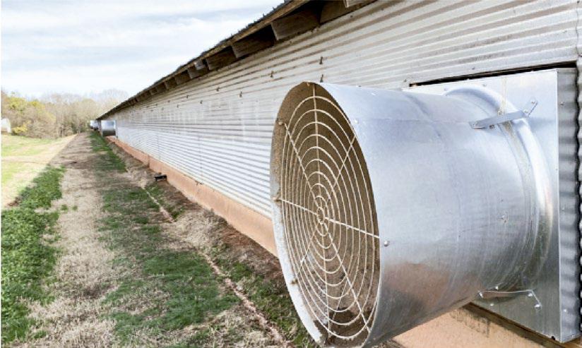 Diez puntos para una ventilación mínima eficaz durante el inicio de la crianza