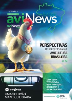 aviNews Brasil 4TRI 2024 