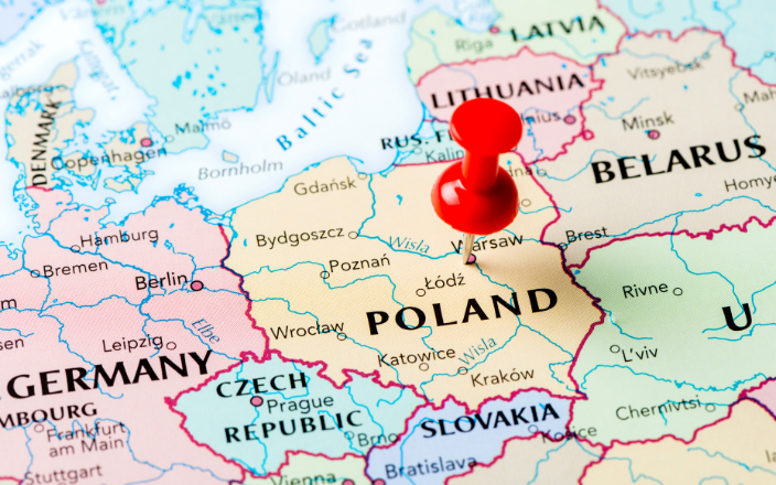 Poland’s poultry industry achieves record growth in 2024