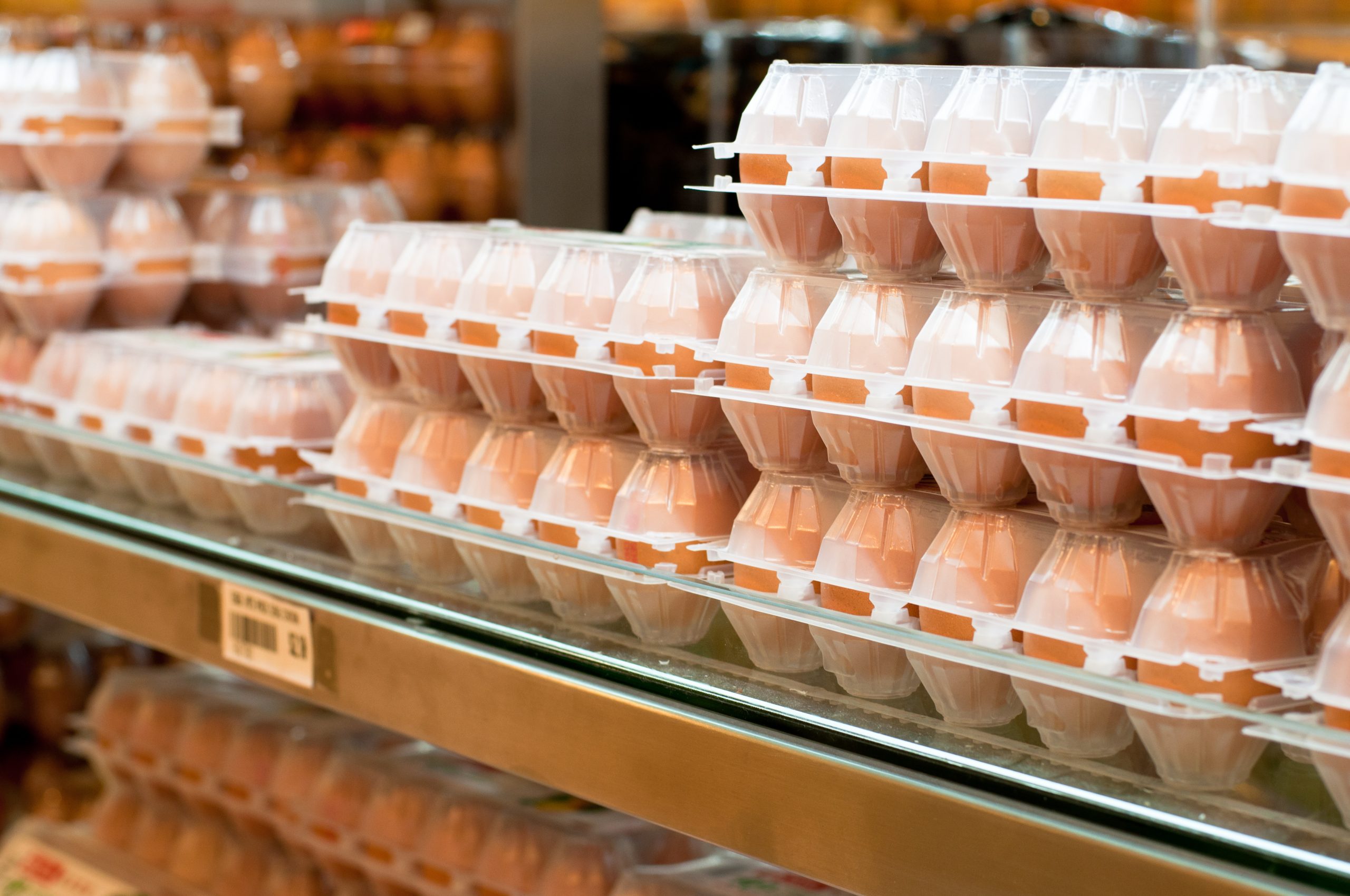 Tipos de huevos en el mercado