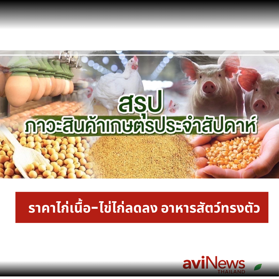 สรุปภาวะสินค้าเกษตรประจำสัปดาห์ วันที่ 10 – 14 กุมภาพันธ์ 2568