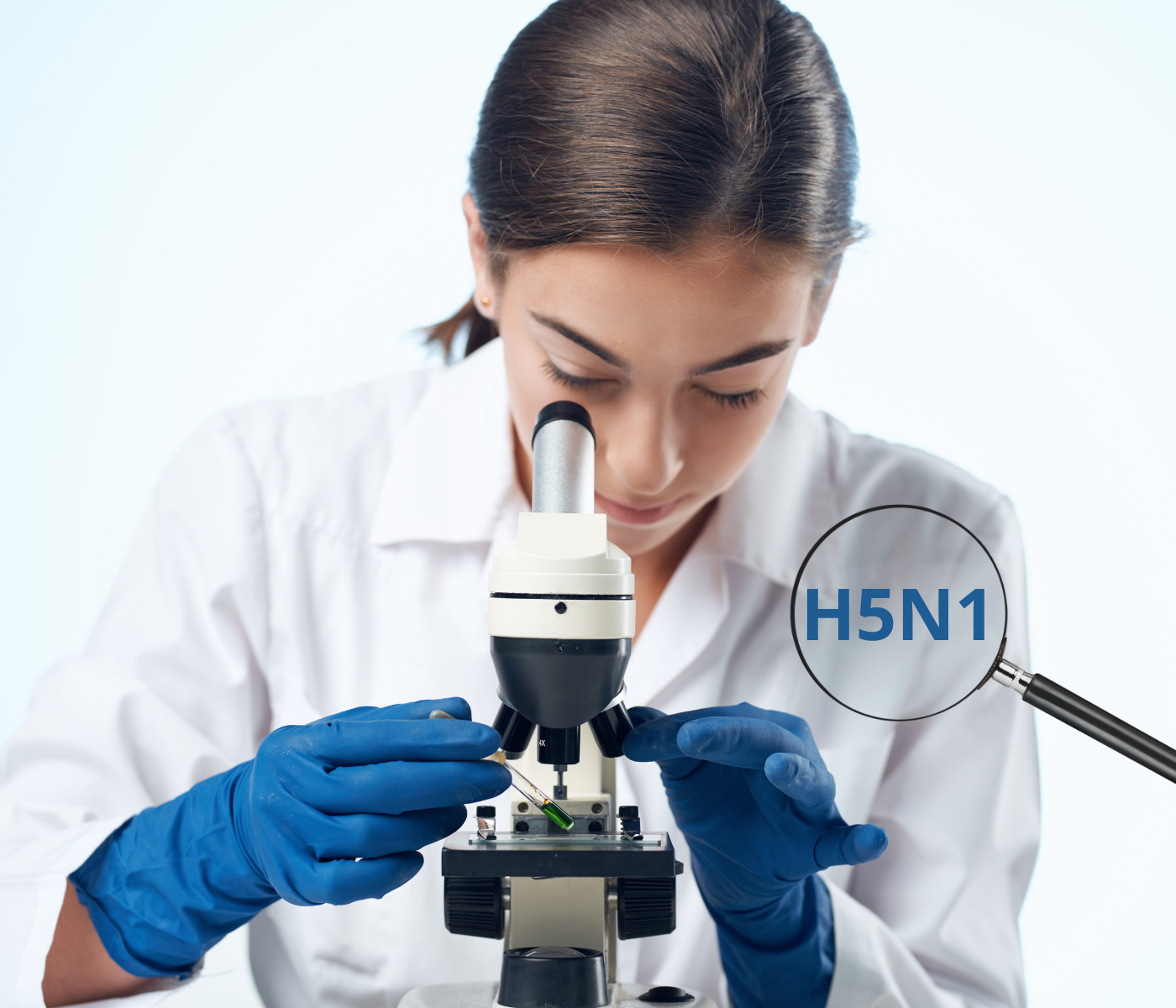 Hy-Line International researchers collaborate in study identifying Genes Linked to...