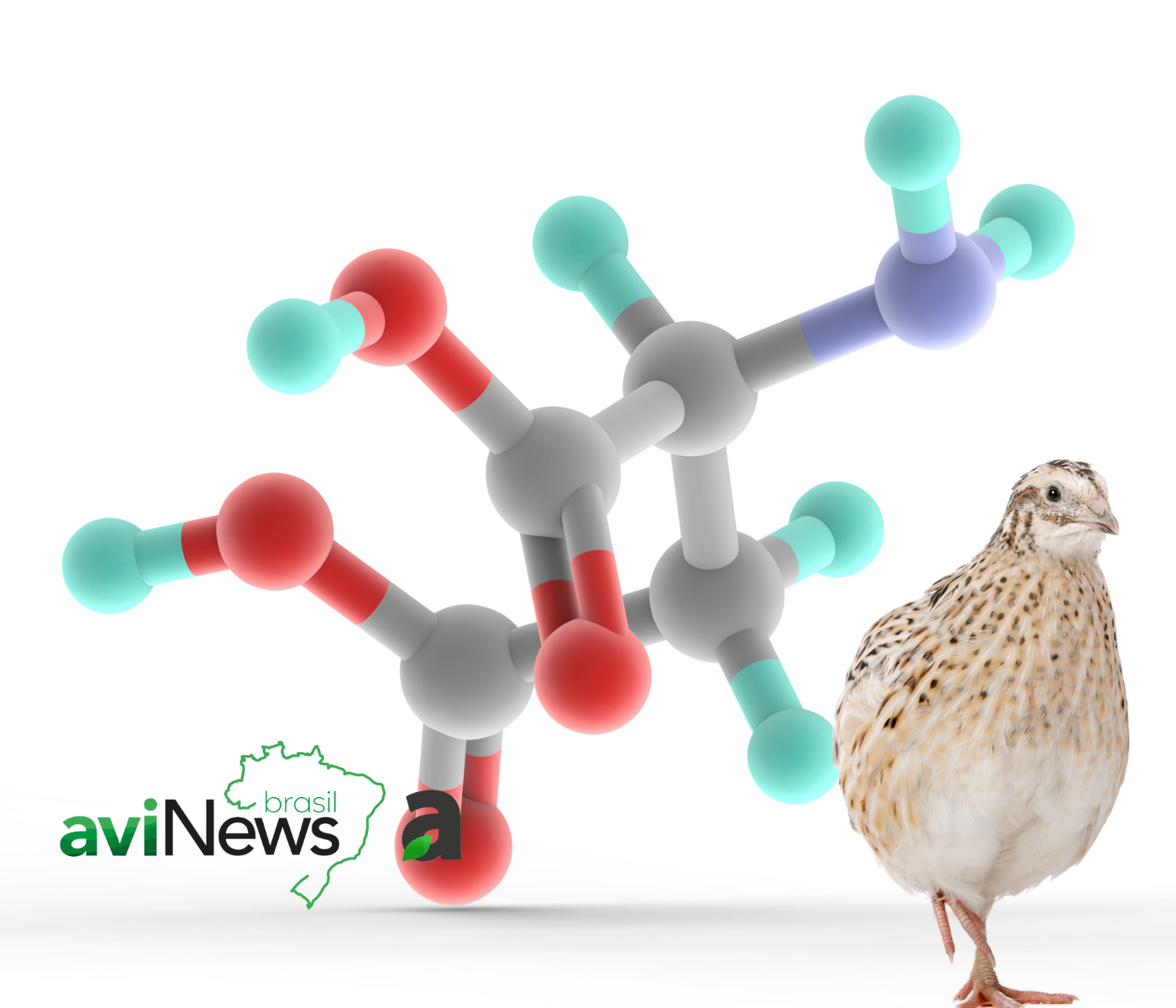 Exigências de aminoácidos para codornas: uma revisão