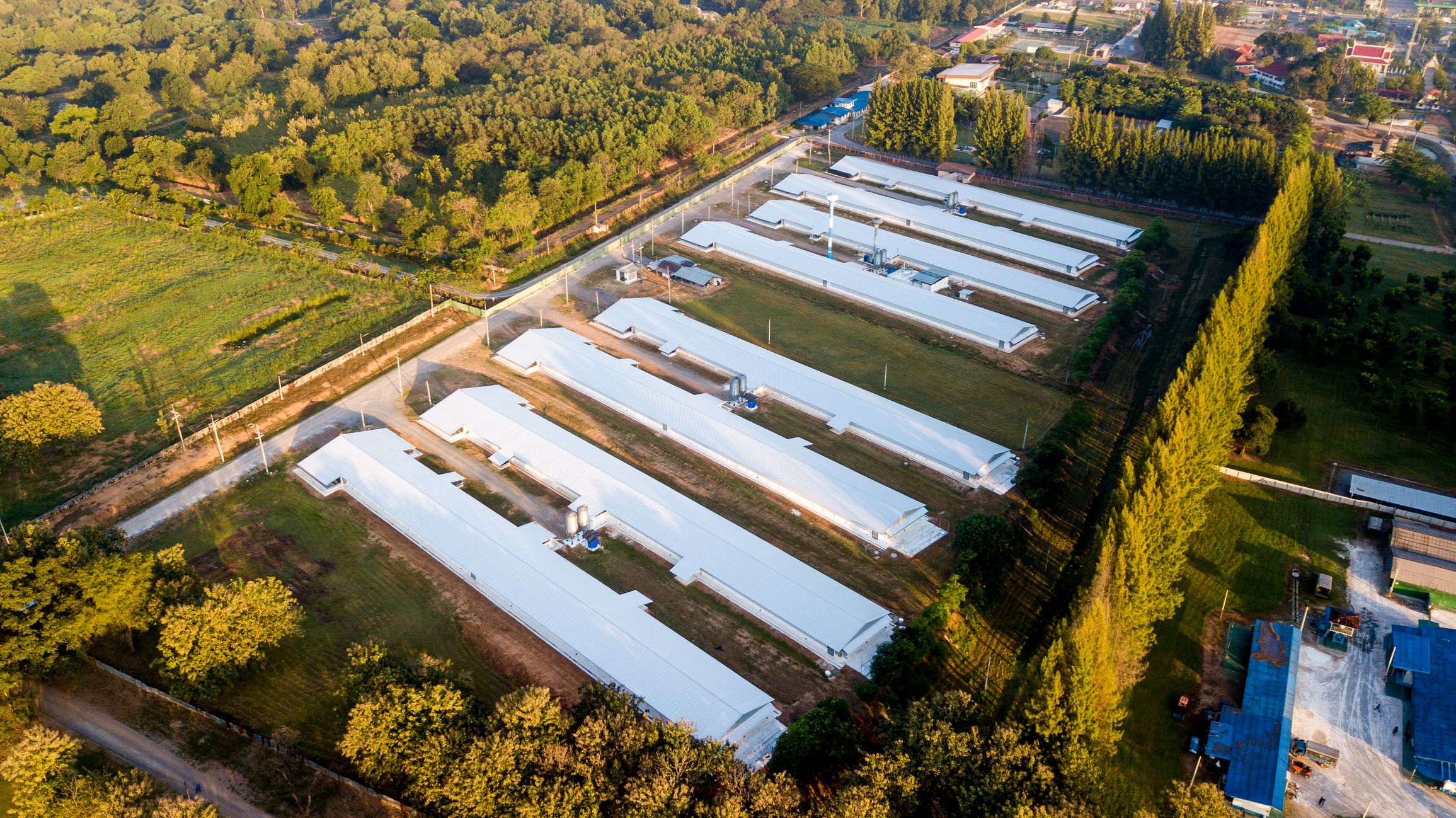 Transparencia y Trazabilidad en la Producción: Un pilar fundamental para el futuro de la avicultura