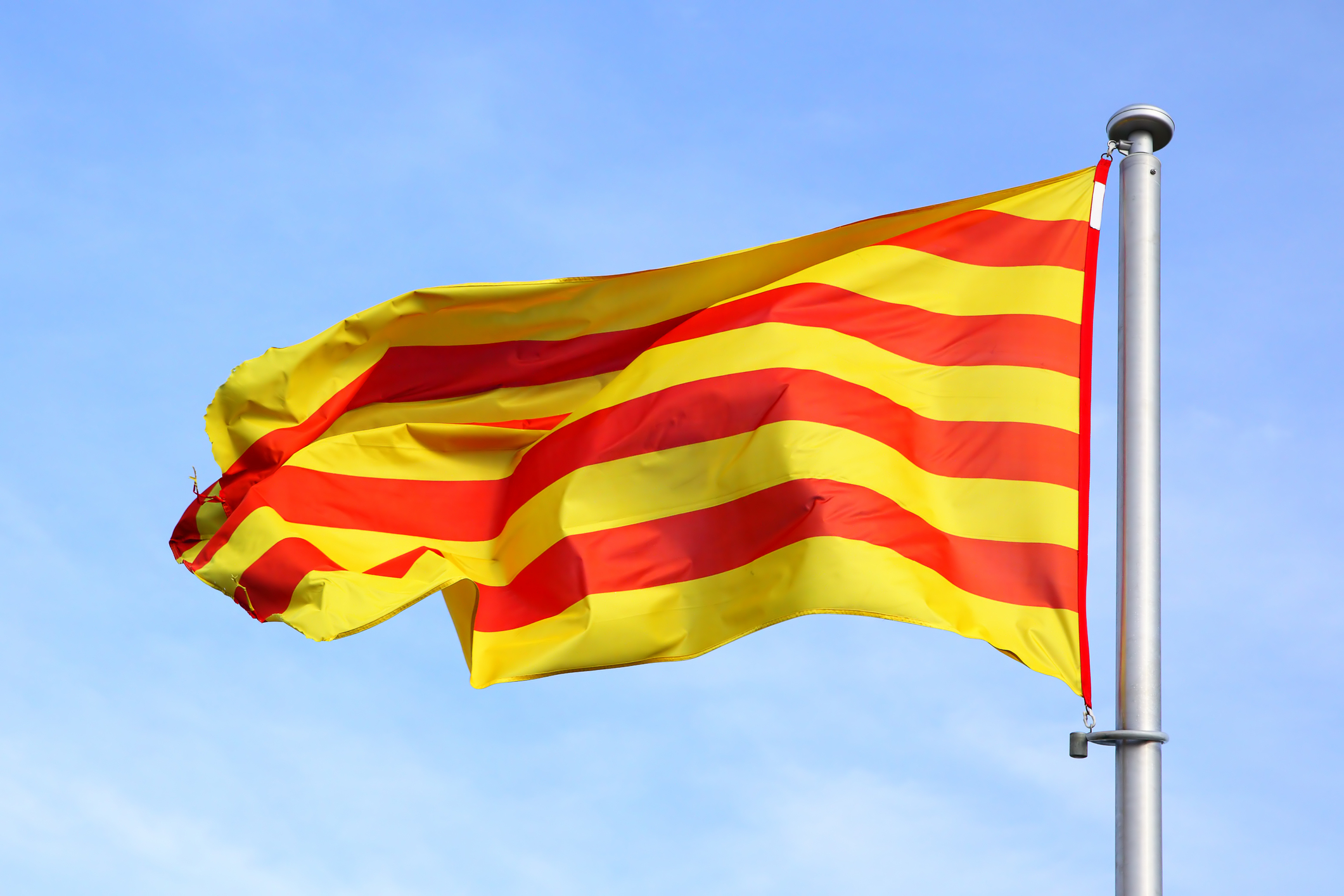 Sector avícola catalán estable 2024