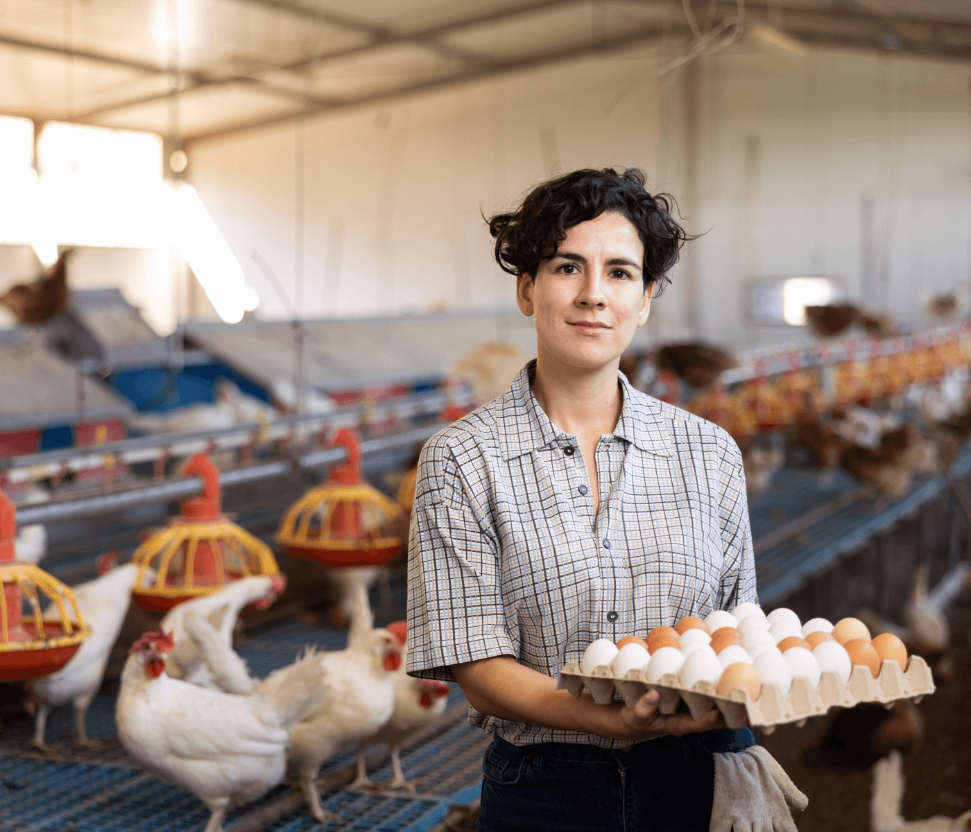 Embrapa Suínos e Aves abre comemorações de 50 anos com evento dedicado ao protagonismo feminino no agro