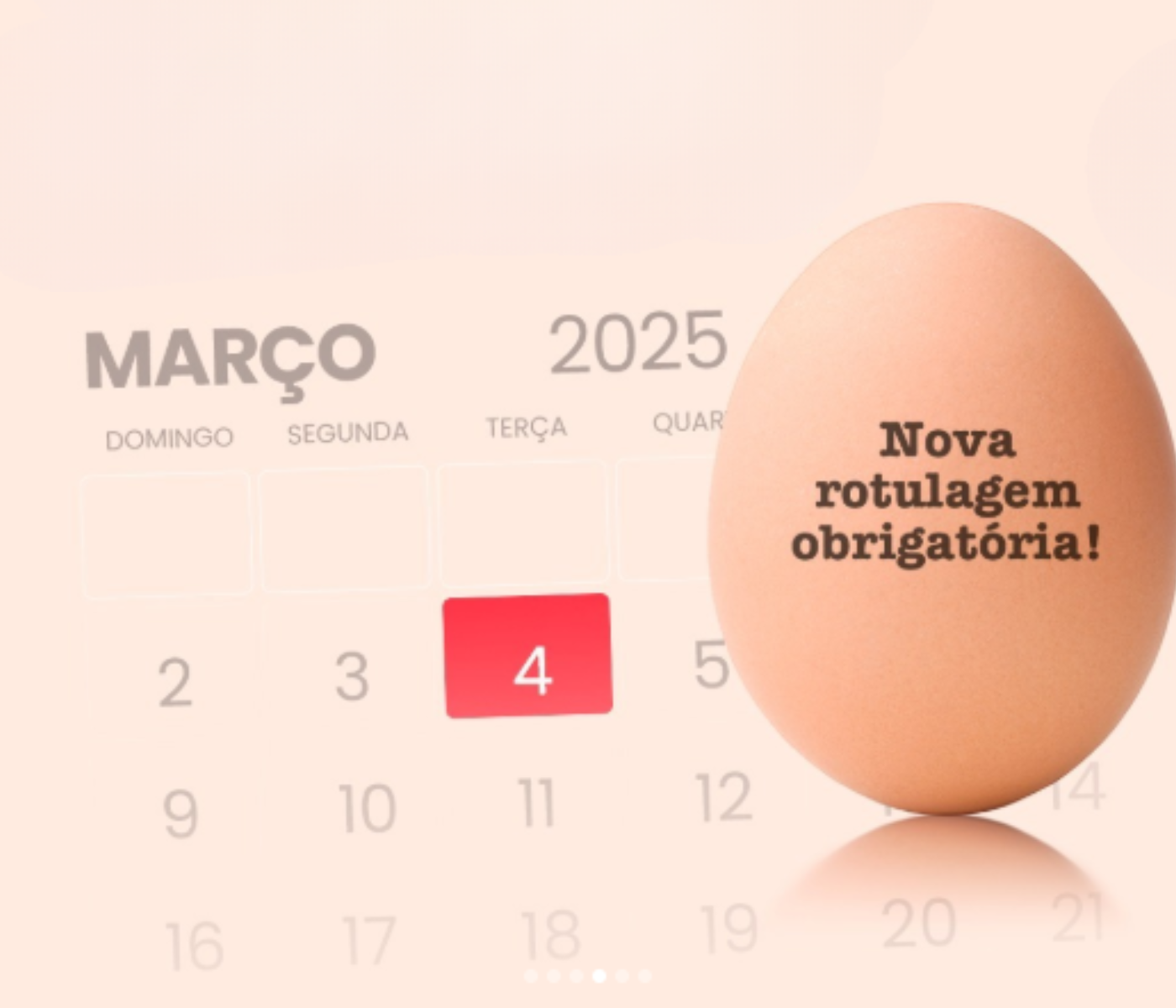 Faltam 15 dias para novas regras de rotulagem de ovos...