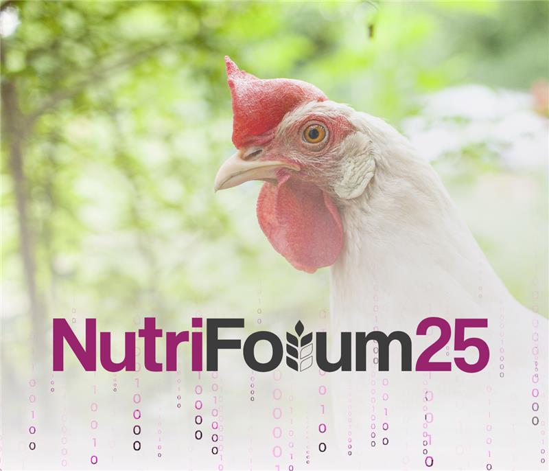 ¡Aves a la vanguardia! nutriForum 2025 innova con un programa...