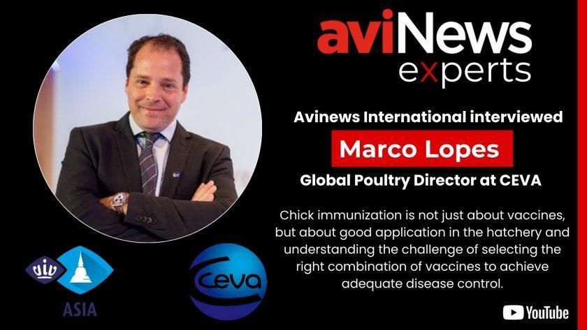 Avinews International interviewed Marco Lopes from CEVA at VIV Asia 2025