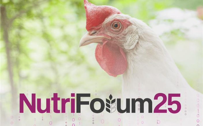 Poultry at the forefront! nutriForum 2025 innovates with an unrivalled poultry nutrition programme