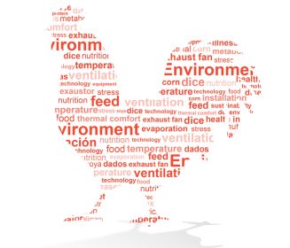 Factors and Strategies that Help to Improve the Thermal Comfort of Birds