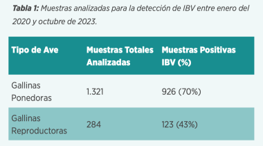 Virus de la Bronquitis Infecciosa aviar: resultados España