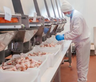 Crecimiento sostenido de las exportaciones de carne de ave de Paraguay