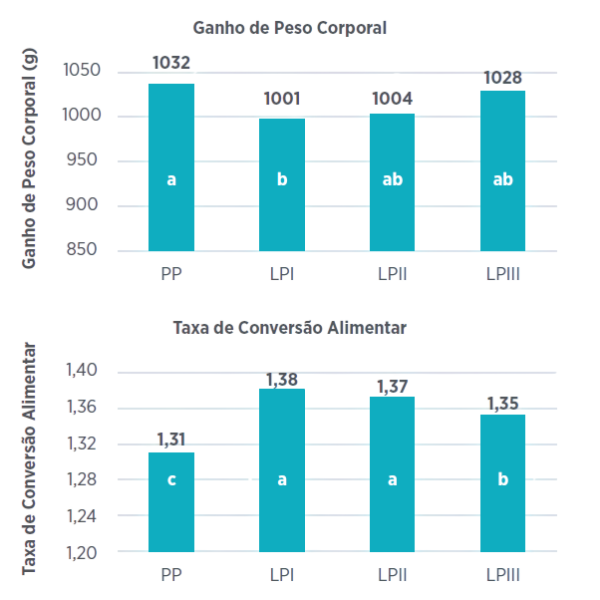 Figura 1 - Impacto da digestibilidade do amido e das matérias-primas no ganho de peso corporal (GP, à esquerda) e na taxa de conversão alimentar (CA, à direita). PP = Proteína padrão 21%; LPI = Baixo teor de PB 18% com milho não ajustado para a proporção amido/proteína; LPII = Baixo teor de PB 18% com milho ajustado para a proporção amido/proteína; LPIII = Baixo teor de PB 18% com ervilhas e milho ajustados para a proporção amido/proteína. Mahmood et al. (2024).