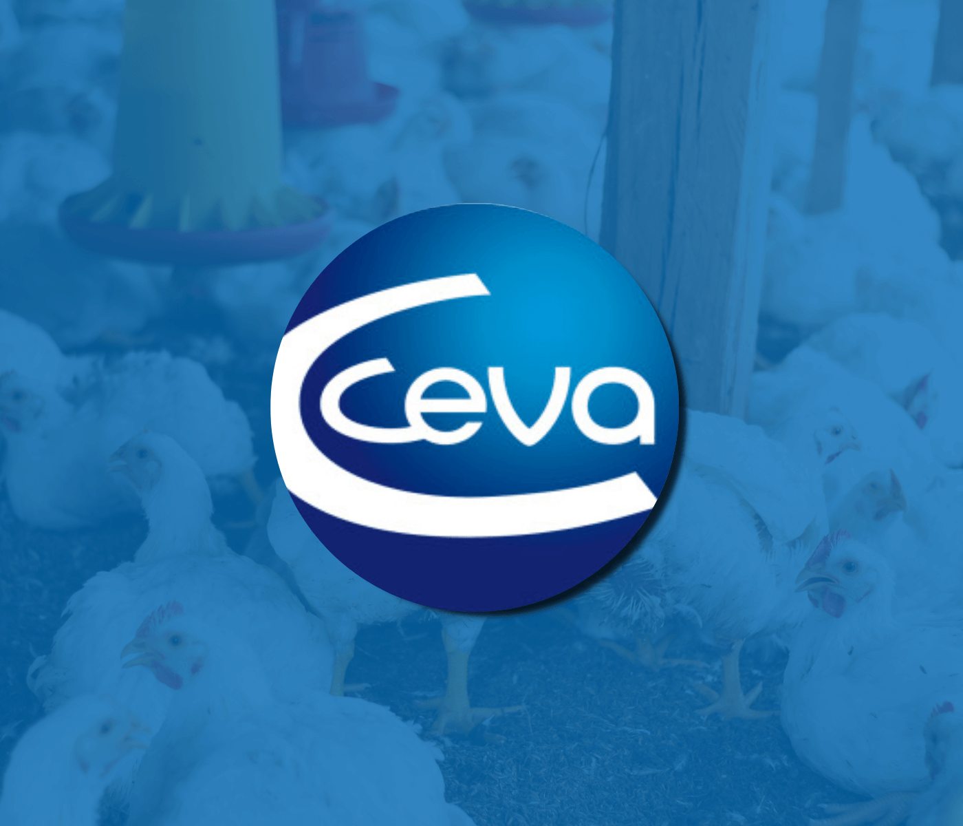 Ceva recebe homenagem no SBSA e reforça liderança em inovação...