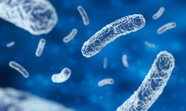 Imagen Revista Manteniendo Salmonella bajo control: un enfoque integral para la seguridad alimentaria en la producción avícola