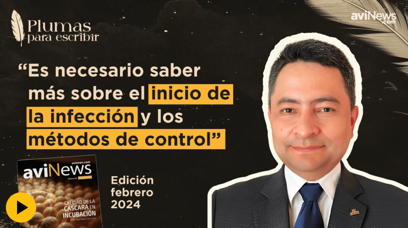 KINKY BACK, CAUSAS y SÍNTOMAS de una de las principales enfermedades de POLLOS – Edgar Oviedo