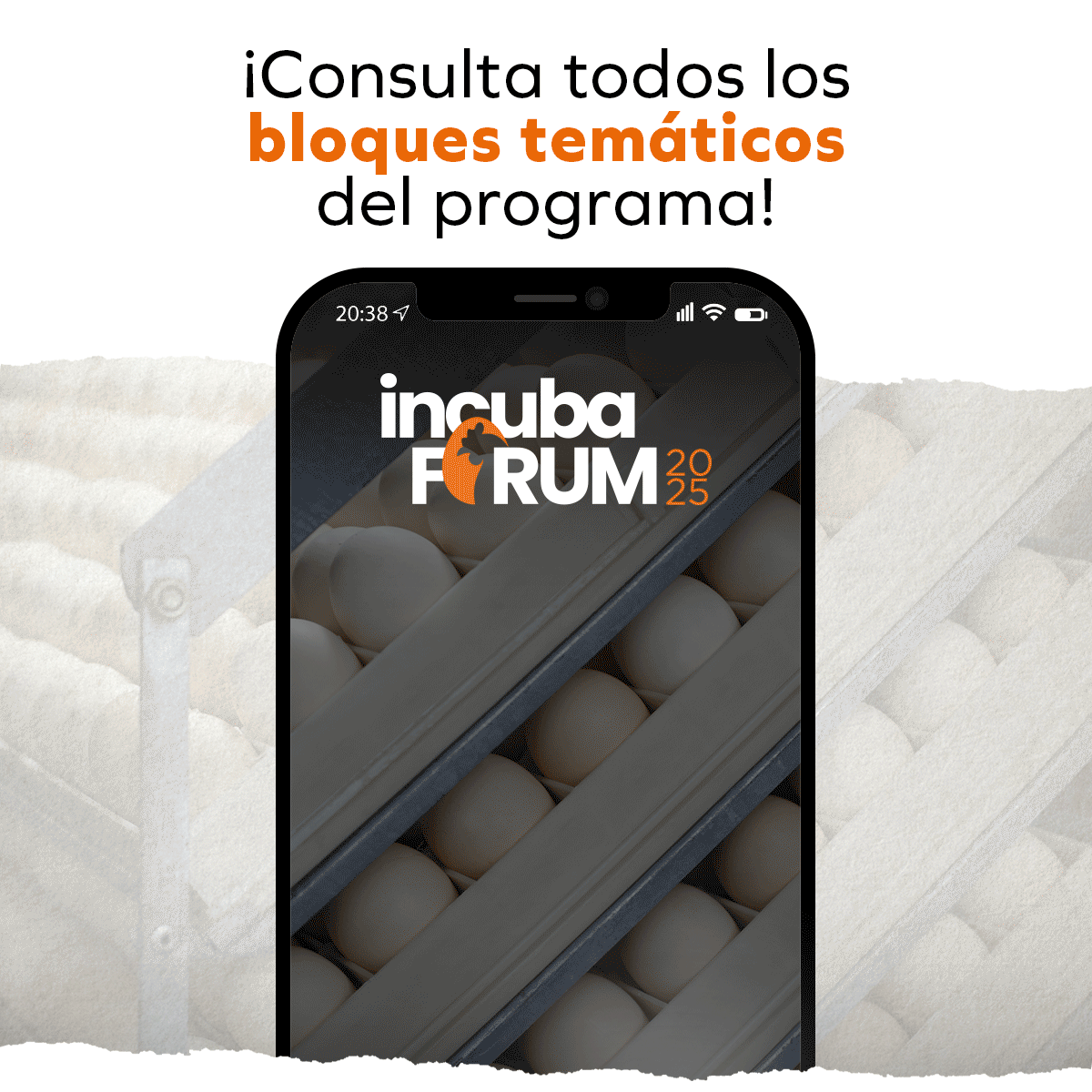 robapagina incubaforum españa 2025