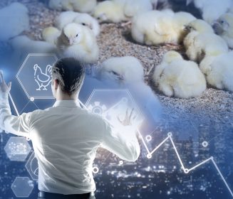 Imagen Revista Gestión integral de la producción de pollo de engorde: Contribuyendo a la rentabilidad de la empresa. Parte III