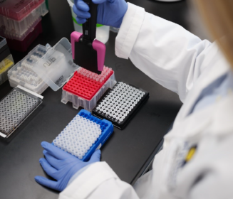 Investigadores de Hy-Line International colaboran en un estudio que identifica genes relacionados con la supervivencia de las aves ponedoras a la influenza aviar