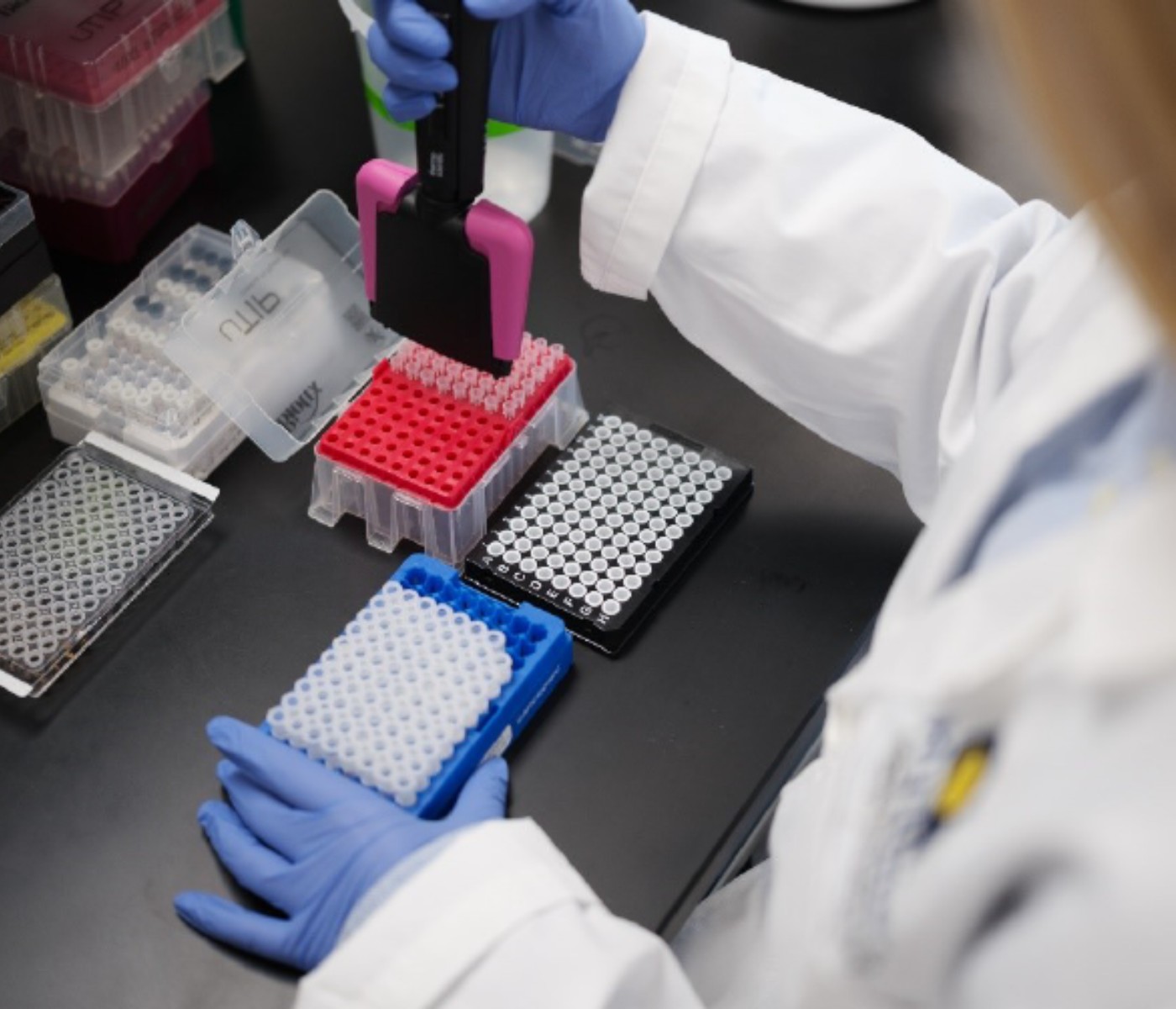 Investigadores de Hy-Line International colaboran en un estudio que identifica genes relacionados con la supervivencia de las aves ponedoras a la influenza aviar