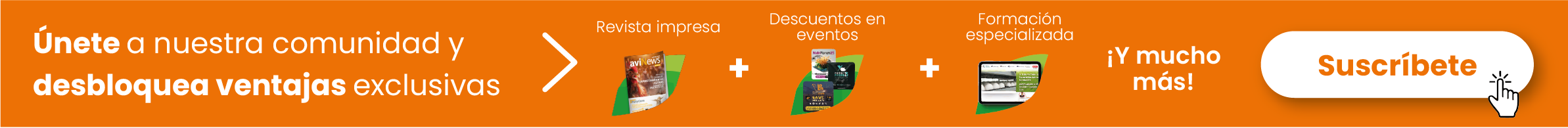 suscripciones avinews