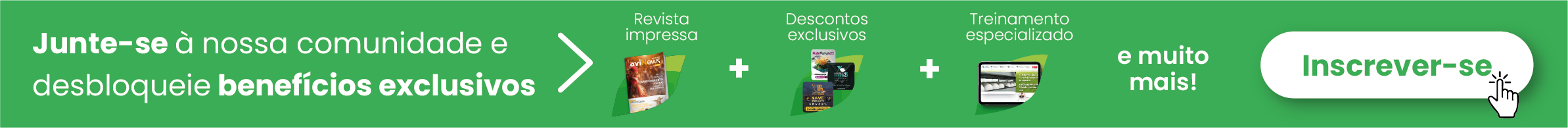 suscripciones avinews