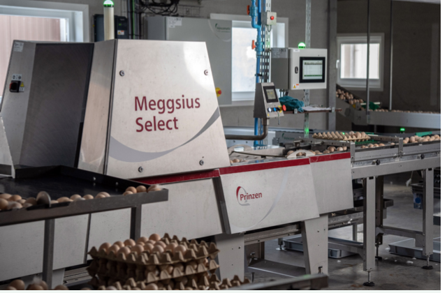 Reconocida por su innovación: Os presentamos la Familia Meggsius