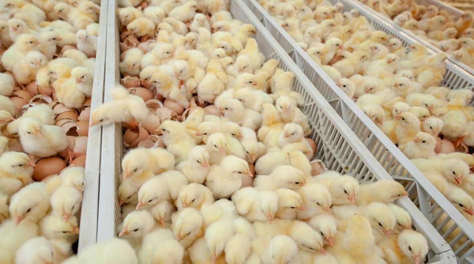 Pakistan’s Competition Commission fines poultry hatcheries for cartel