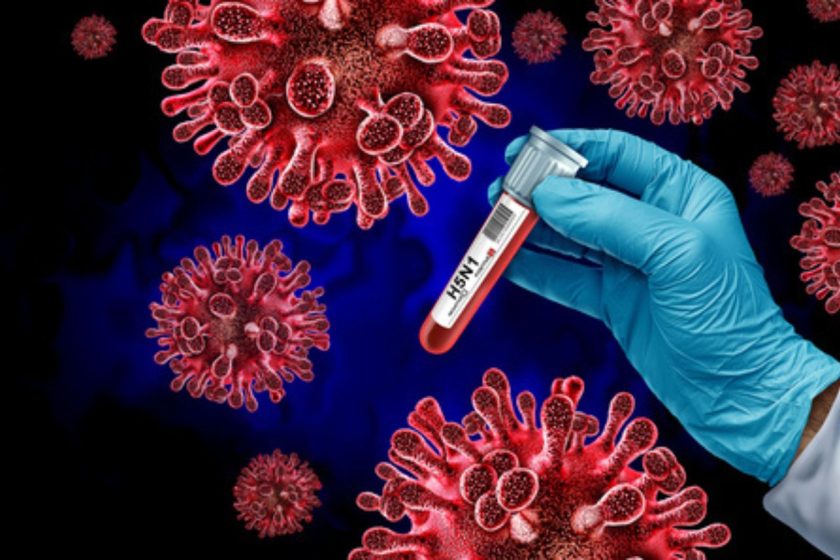 Brasil detecta primer brote de Influenza Aviar H5N1 en su avicultura comercial