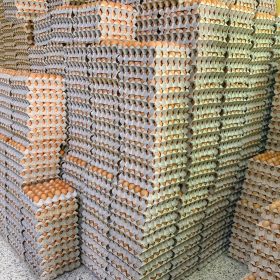 Egg subsidy cut lifts Malaysia poultry stocks as full removal looms in August