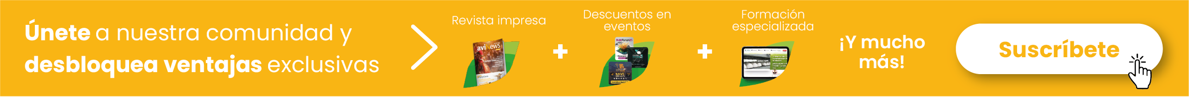suscripciones avinews