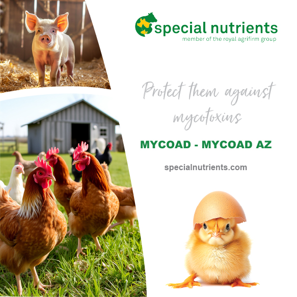 SPECIAL NUTRIENTS INTER – MAY 2025