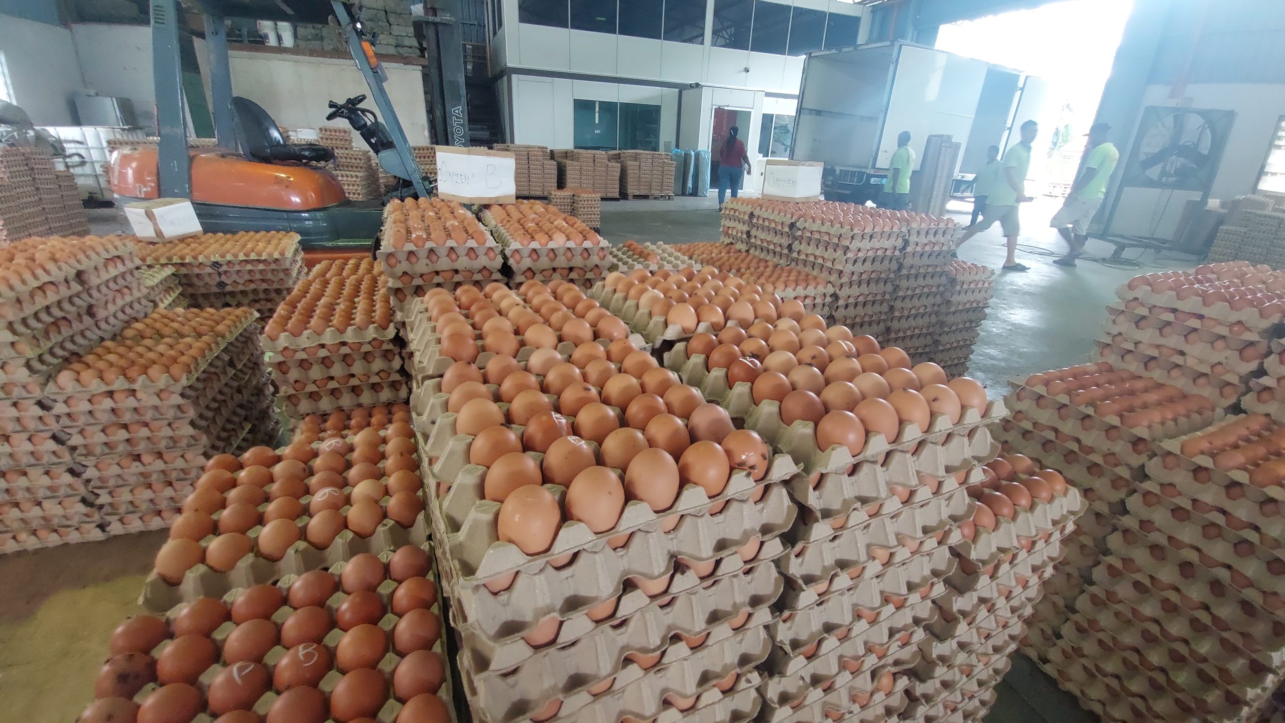 Special grade eggs paves its way into Malaysian households