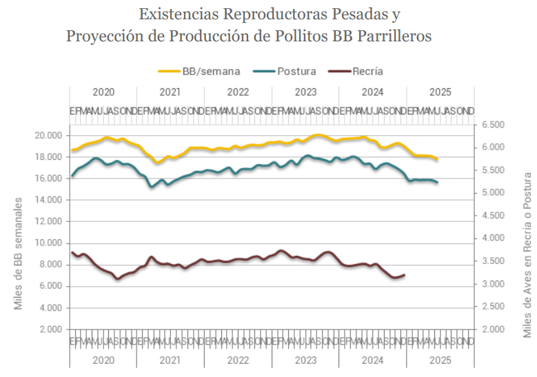 Panorama Avícola Argentina: Producción, Comercio y Consumo 