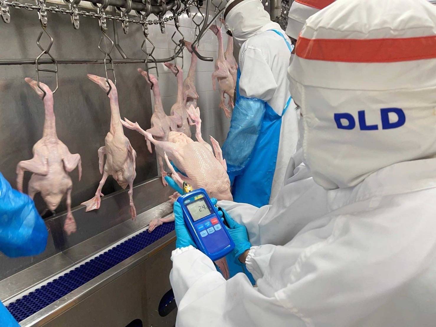 Thailand approved to export raw chicken, duck to Philippines