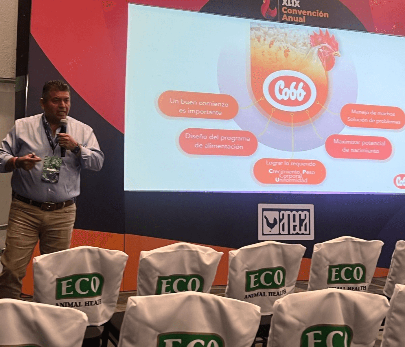 Cobb-Vantress destaca manejo ideal do macho MX na XLIX Convenção...