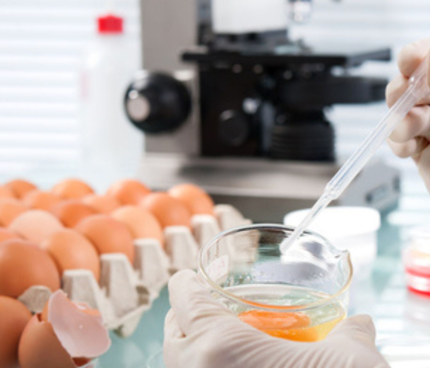 Conservación y mejora de la calidad de huevos mediante técnicas de higienización y sellado