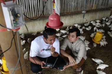 Lecturer pioneers IoT-based system for chicken farming