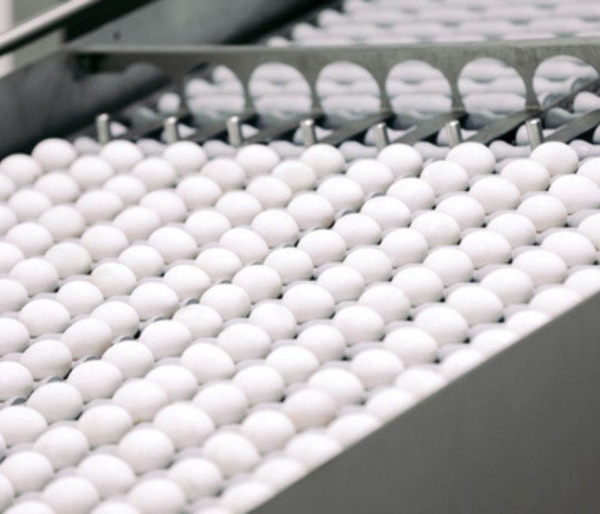 Exportaciones de huevos brasileños crecen más del 130% en el primer cuatrimestre de 2025