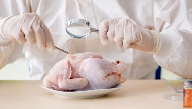 Bangladesh’s govt: Safe food must be ensured for all people