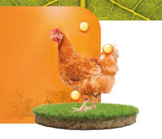 Imagen Revista Otimização do desempenho em situações estressantes