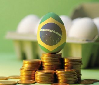 Imagen Revista Opinião do especialista – Escassez de ovos: um problema global que reforça a importância da inovação no controle de bactérias