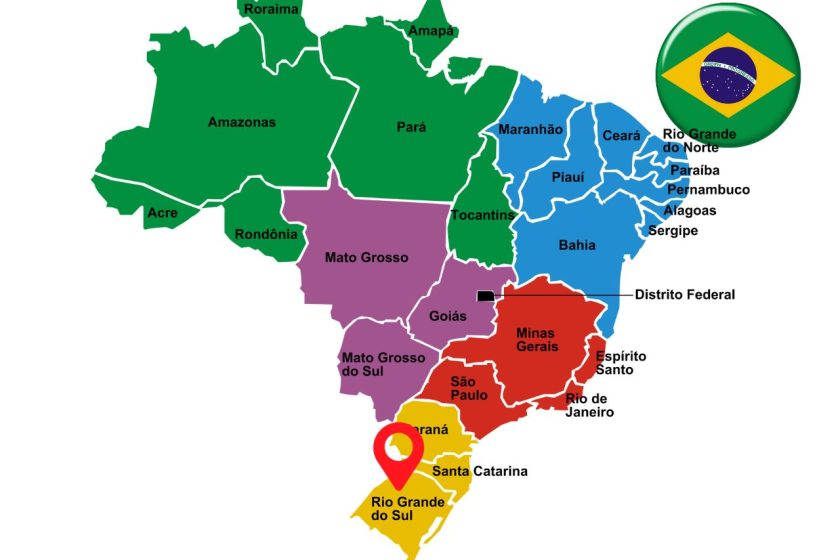Brasil refuerza medidas frente a Influenza Aviar y actualiza situación de exportaciones avícolas